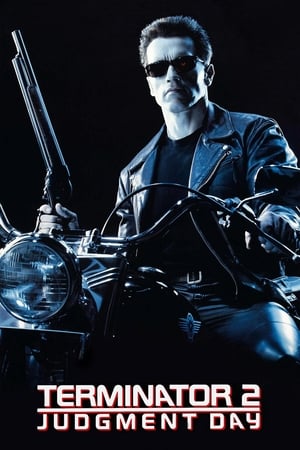Terminator 2 (1991) Hindi Dual Audio | Hindi Dubbed Movie BluRay 500MB