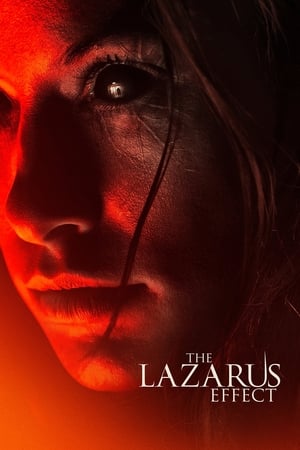 The Lazarus Effect (2015) Hindi Dual Audio | Hindi Dubbed Movie BluRay 300MB